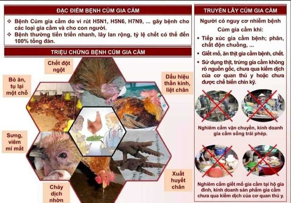 Ảnh đại diện